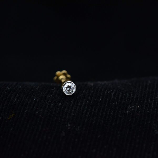 Nose pins