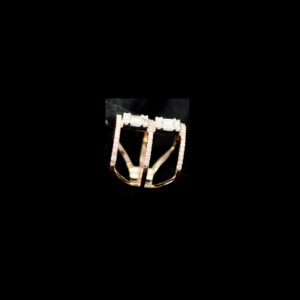 Ladies RING