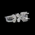 Ladies Ring