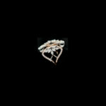 Ladies Ring