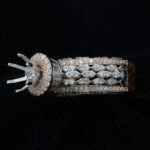 Ladies Ring