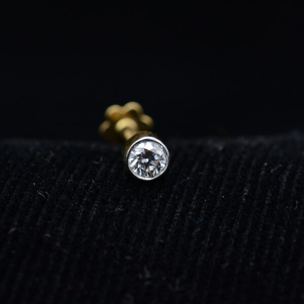 Nose Pins
