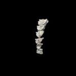 Ladies Ring